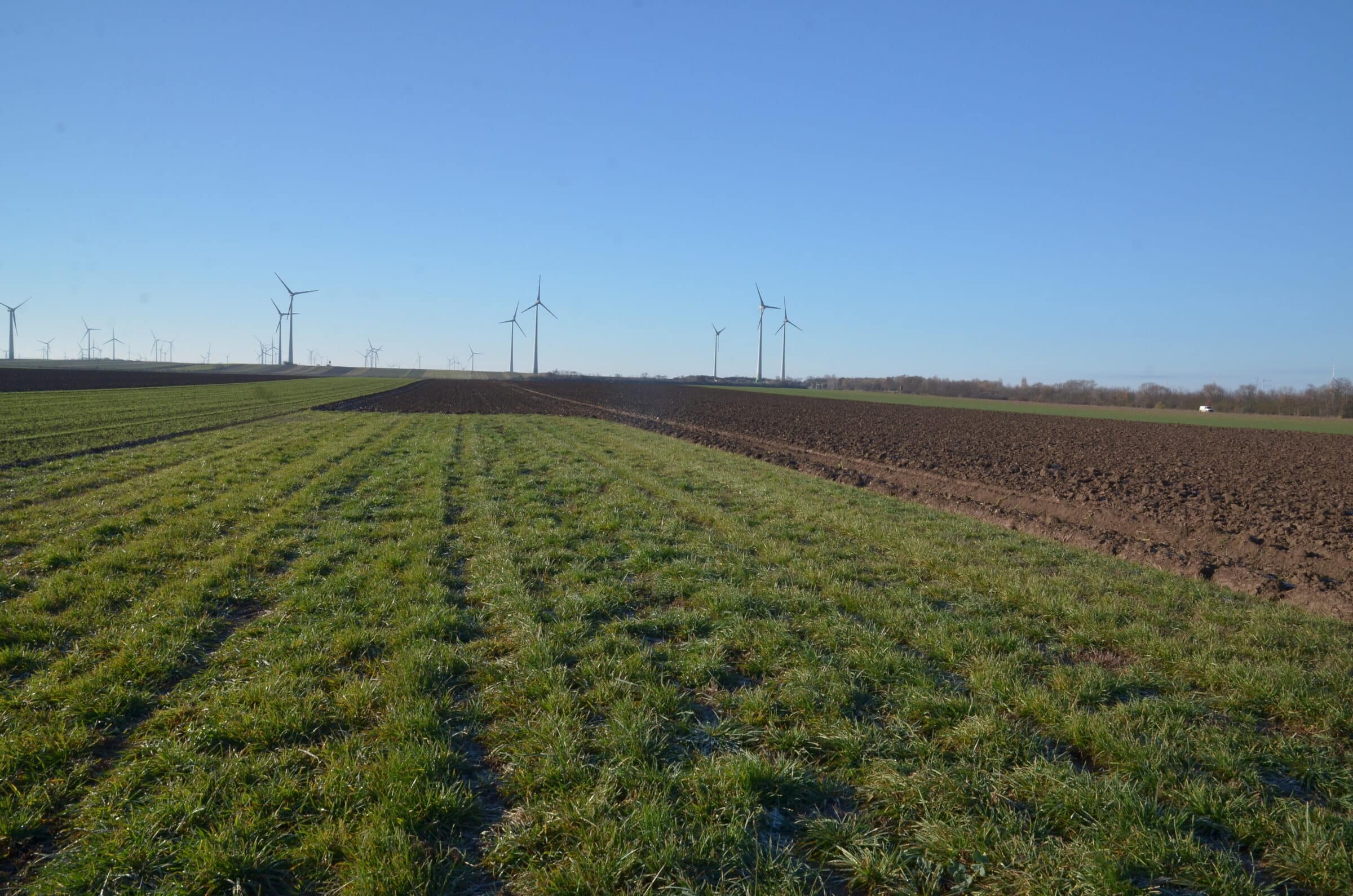 202111_Zurndorf-47
